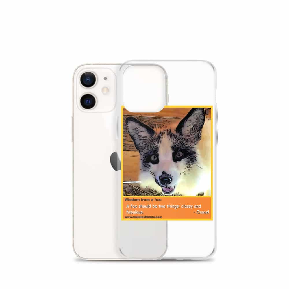 iphone 12 mini case chanel