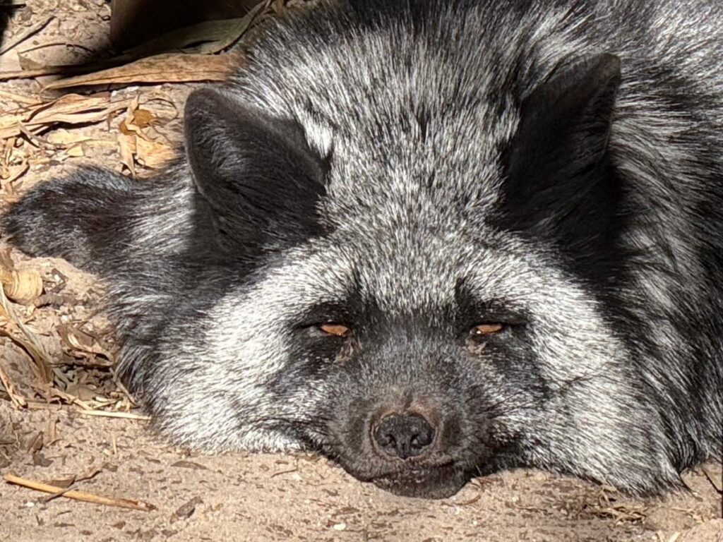 tater-photo-gallery2